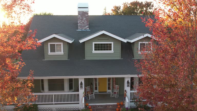 Best Roof Moss and Algae Removal  in Willow Springs, MO