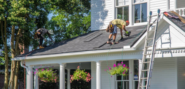 Best Roof Insulation Installation  in Willow Springs, MO